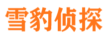 琅琊市侦探调查公司